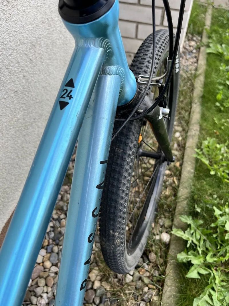 Rascal 24 - lehké dětské kolo, modrá barva