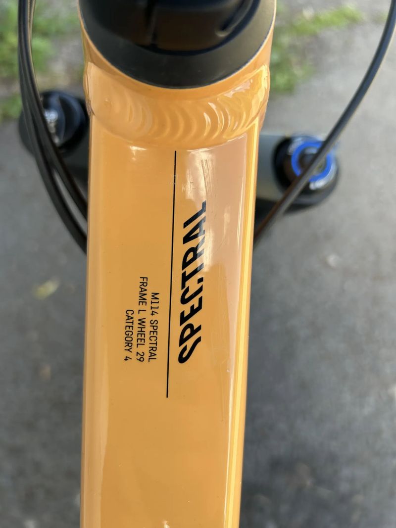 Canyon Spectral 5