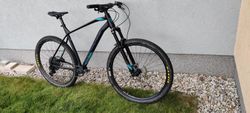 Rock Machine torrent 70
