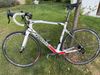 Wilier GTR Team