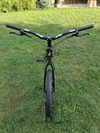 Jitsie 20"