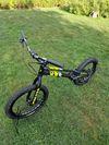 Jitsie 20"