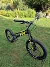 Jitsie 20"