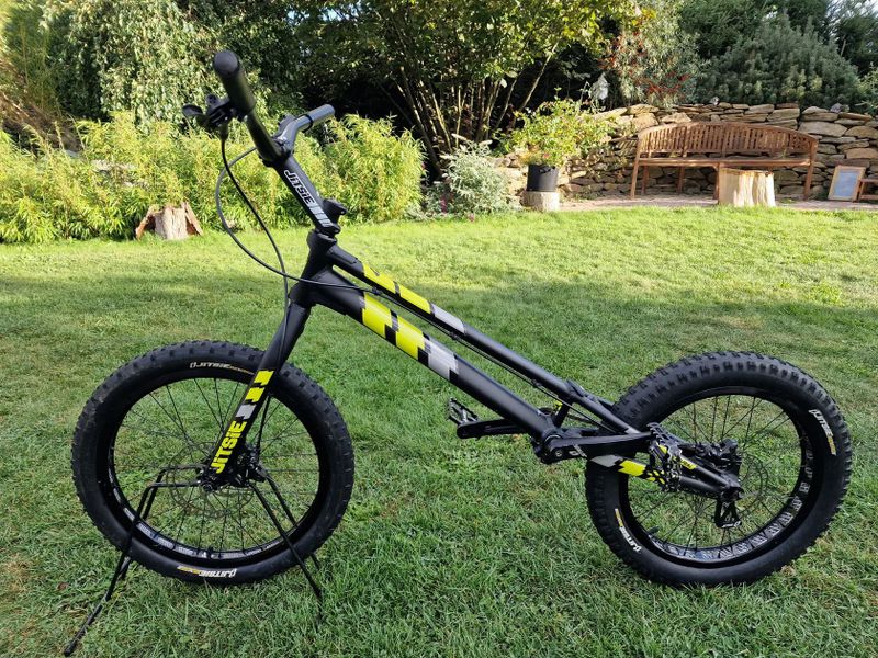 Jitsie 20"