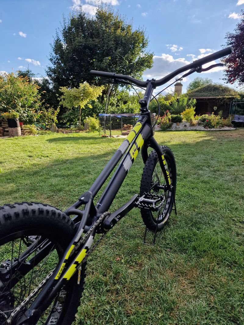 Jitsie 20"