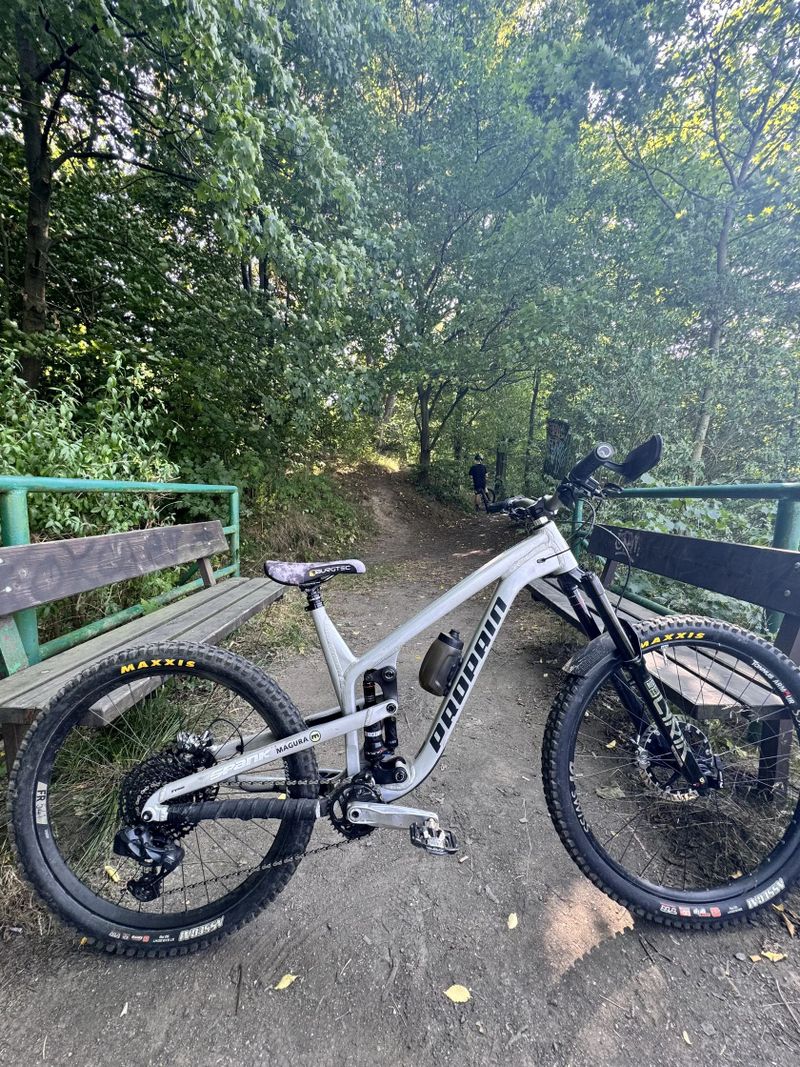 propain tyee custom build