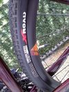 Gravel kolo Bergamont Grandurance RD 7(58) 2023
