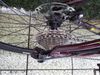 Gravel kolo Bergamont Grandurance RD 7(58) 2023