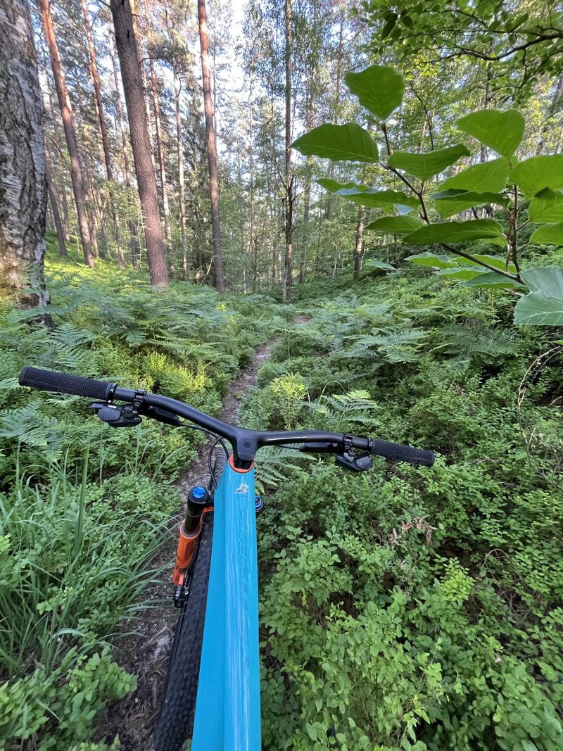 Yeti Sb 115, 2021, Velikost L, Sram XX1 AXS