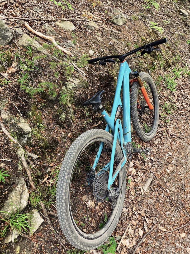Yeti Sb 115, 2021, Velikost L, Sram XX1 AXS