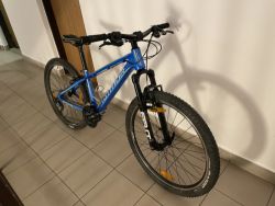 Author Sonic 26’’
