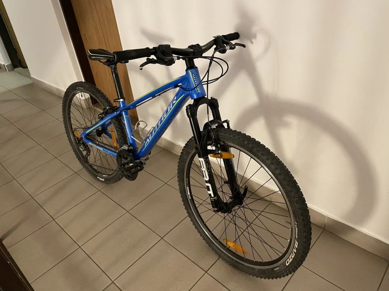 Author Sonic 26’’