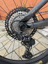 Trek Remedy 8