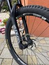 Trek Remedy 8