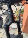 Trek Remedy 8
