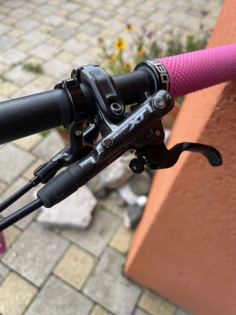 Trek Remedy 8