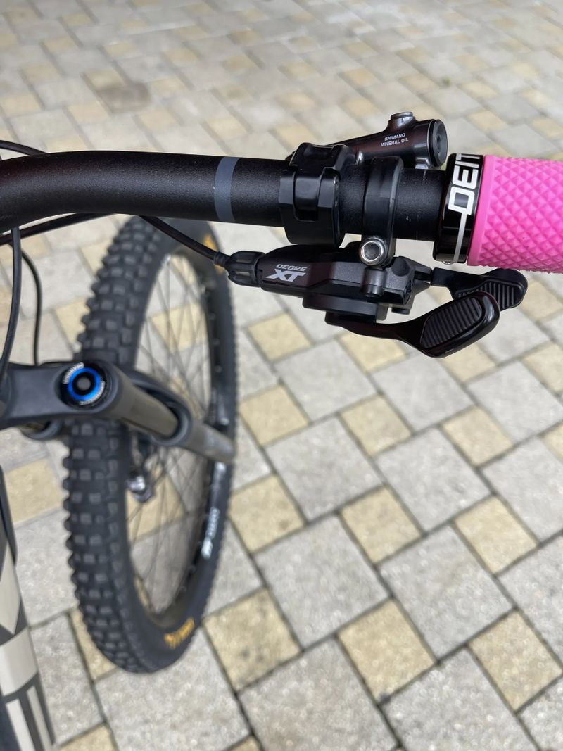 Trek Remedy 8