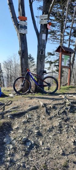 Haibike Sleek 9.10