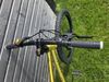 Rascal 24"