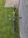 Rascal 24"