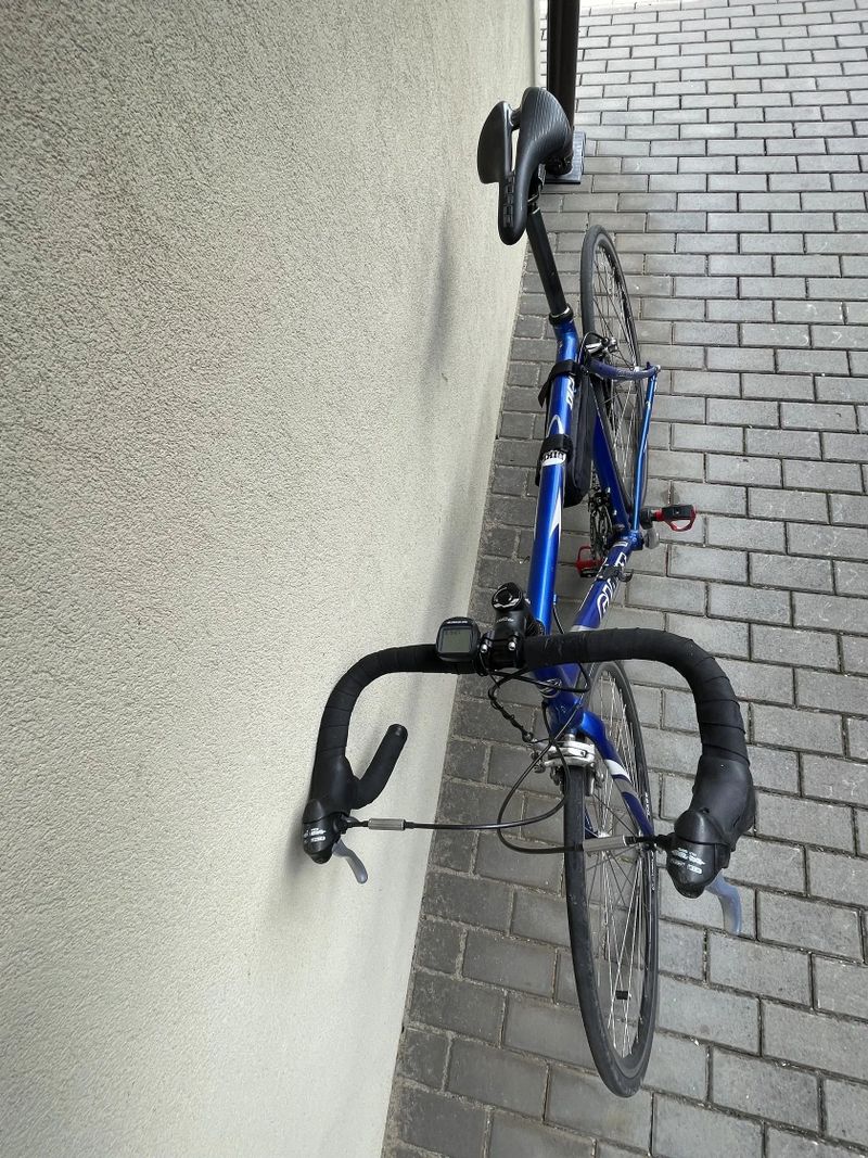Giant