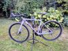 Cube Cross Race Pro