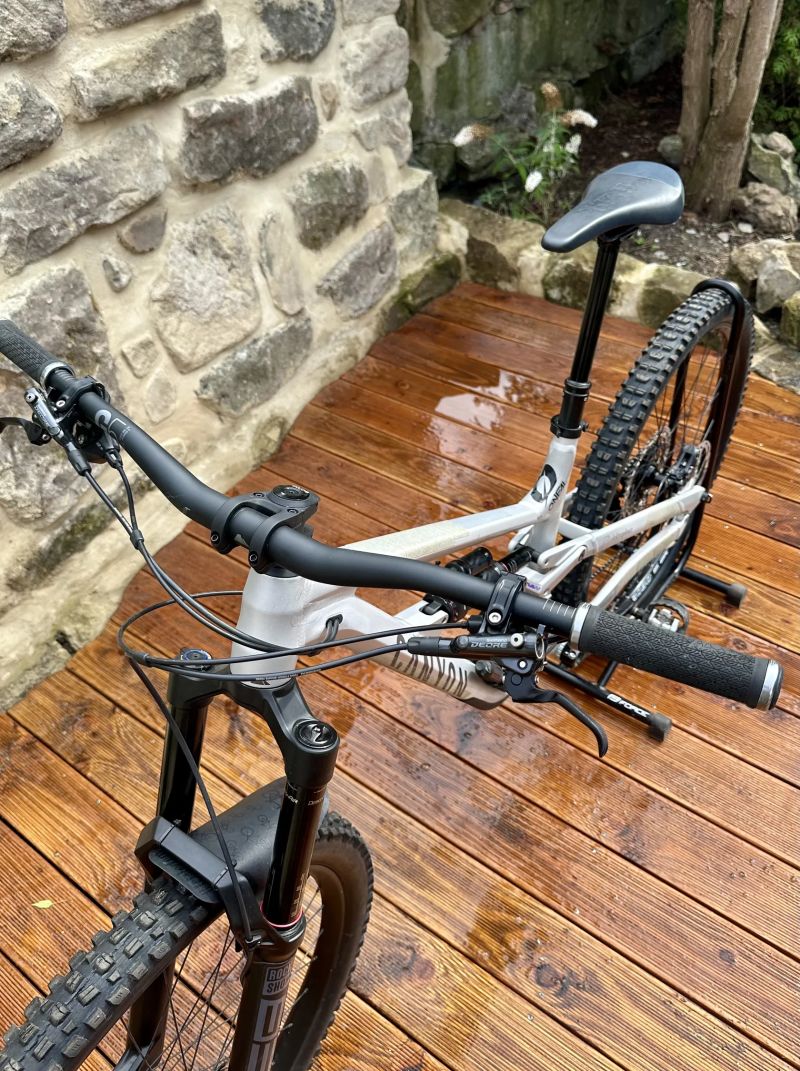 Canyon Torque 29 AL 5