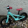 Scott conttesa 12”
