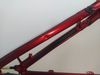 Canyon Spectral Al