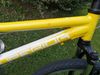 Superior Paint 24"