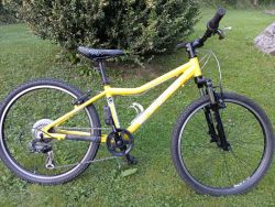 Superior Paint 24"
