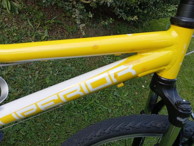 Superior Paint 24"