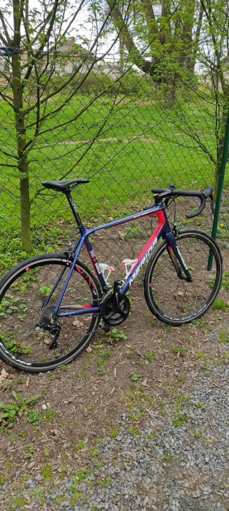 Merida Scultura 3000