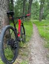 Cannondale Scalpel HT 4