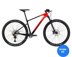 Cannondale Scalpel HT 4