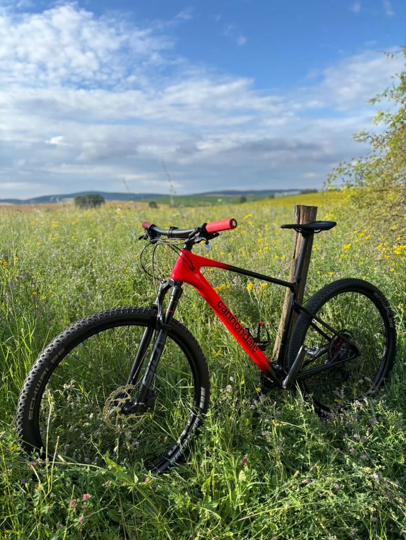 Cannondale Scalpel HT 4