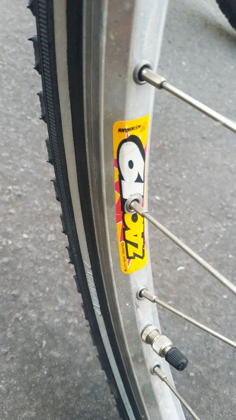 Dámské městské kolo Epple AluCat s dětskou sedačkou