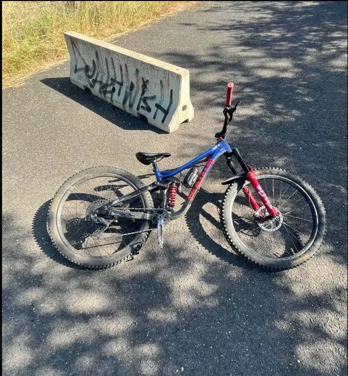 Marin alpine trail xr