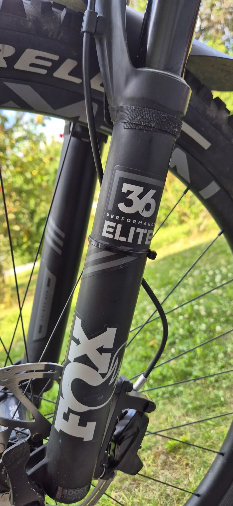 Devinci Troy Carbon 29