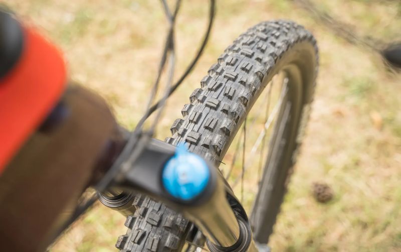 2019 CANYON SPECTRAL CF
