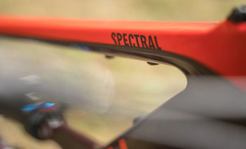 2019 CANYON SPECTRAL CF