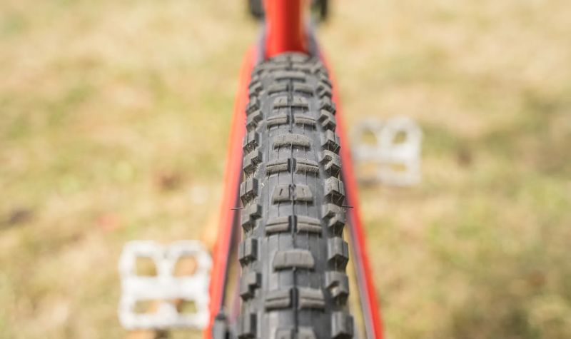 2019 CANYON SPECTRAL CF