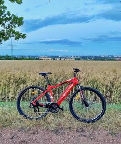 Elektrokolo Lectron Voyager RX, baterie 17.5Ah / 648Wh