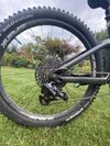 Trek Remedy 8