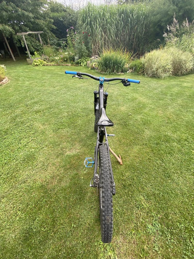 Trek Remedy 8