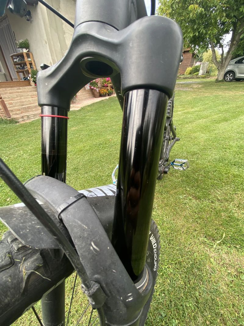 Trek Remedy 8