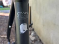 Cannondale Bad Boy1