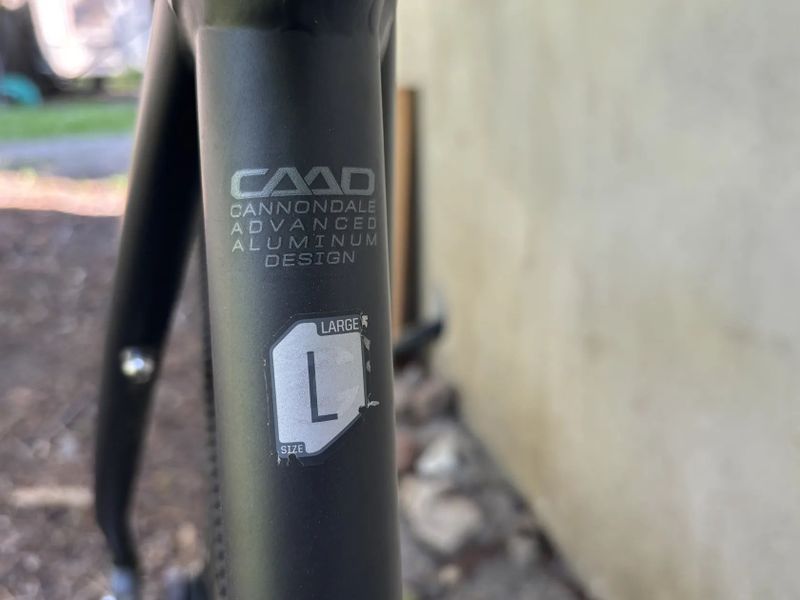 Cannondale Bad Boy1
