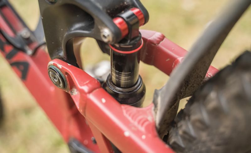  2019 PROPAIN TYEE AL HIGHEND