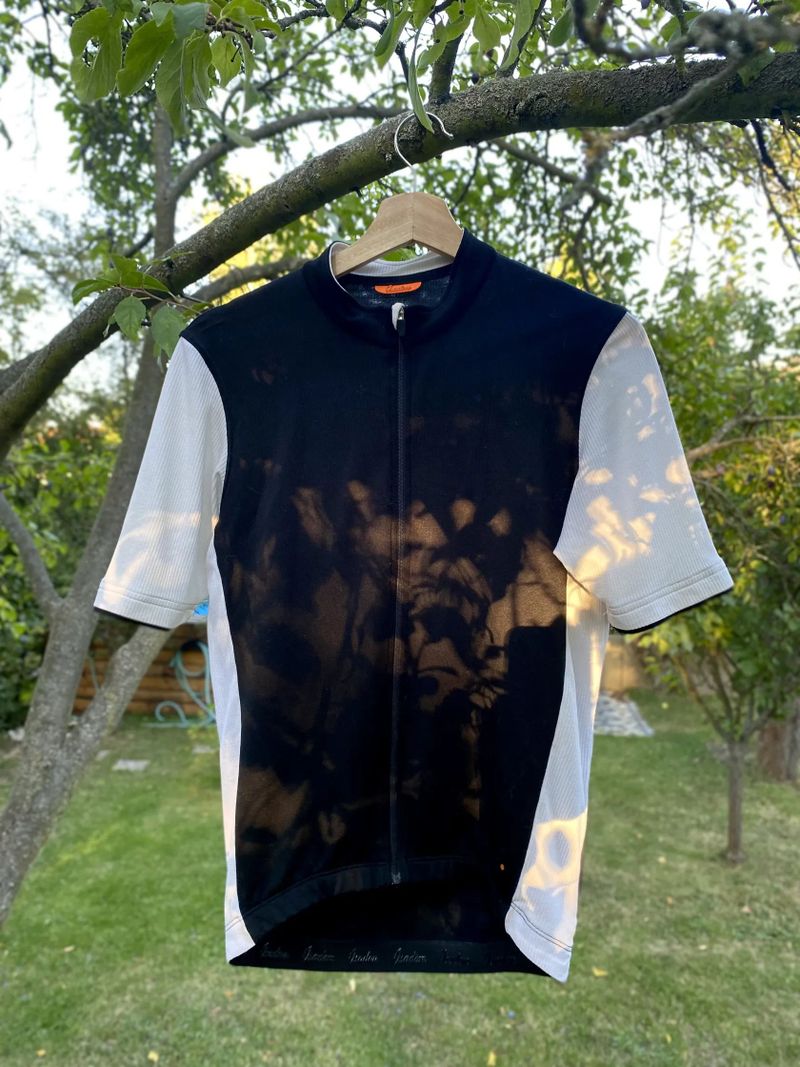 Isadore Signature Merino